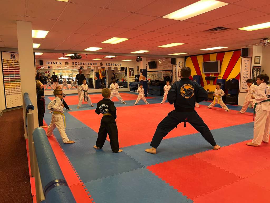Adult Forms and Sparring
