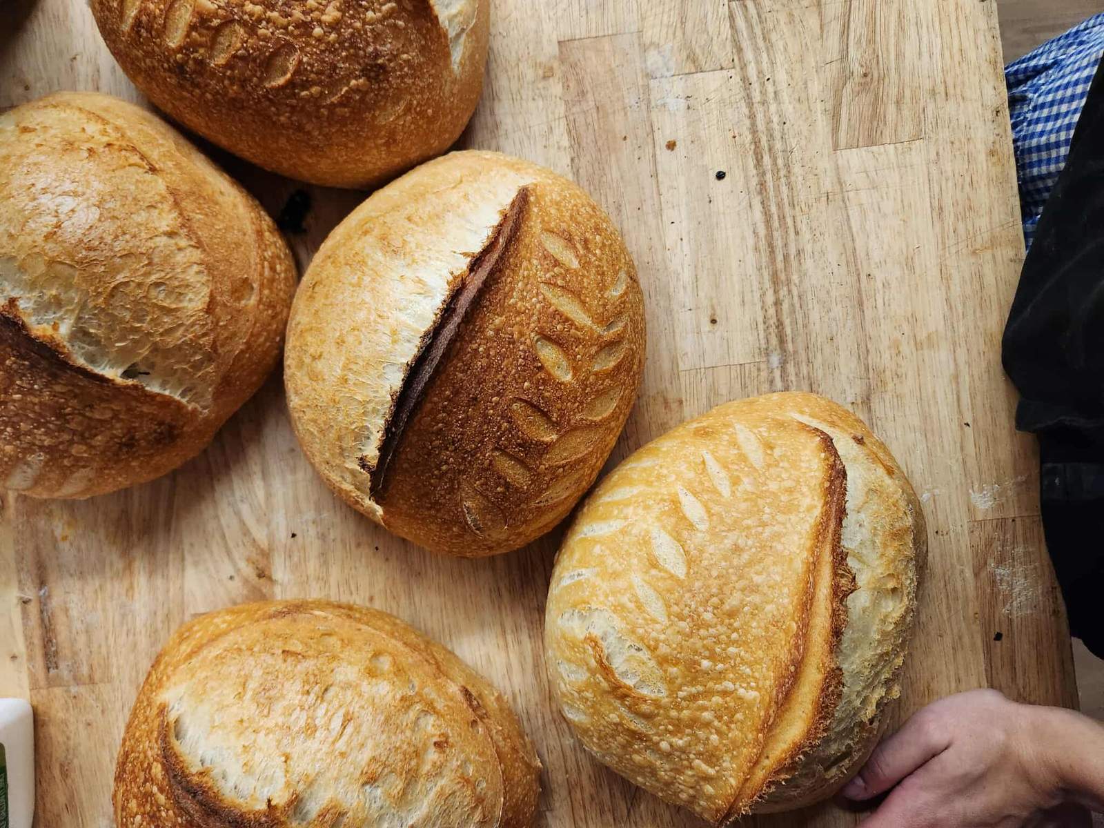 Our Daily Bread — photo 2