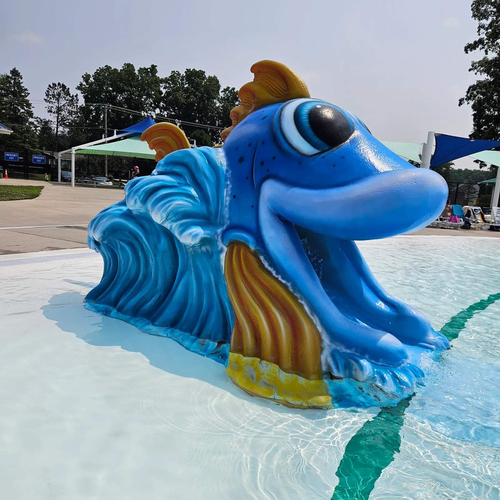 Veterans Memorial Aquatic Center — photo 2